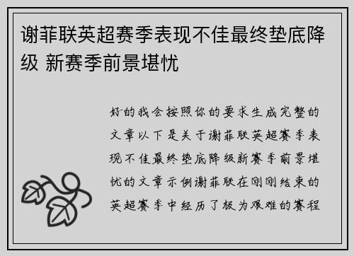 谢菲联英超赛季表现不佳最终垫底降级 新赛季前景堪忧